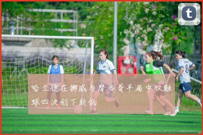 哈兰德在挪威与摩洛哥平局中仅触球四次创下新低
