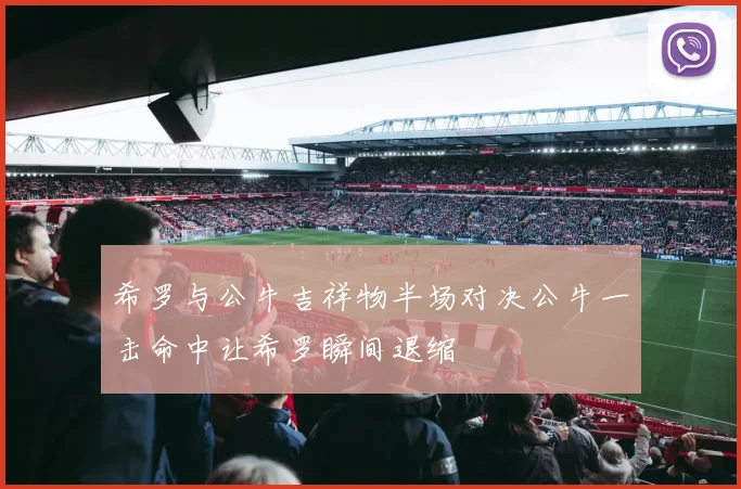 希罗与公牛吉祥物半场对决公牛一击命中让希罗瞬间退缩